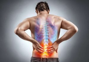 Physiotherapy For Lower Back